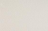 Обои виниловые на флизелиновой основе под покраску Нарзан СБ53 0020-11