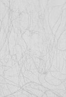 Панели ПВХ 2700*250 Тинкс серебро