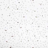 Плита потолочная Ангара 600*600*7мм