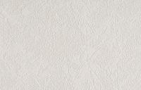 Обои виниловые на флизелиновой основе под покраску Штукатурка СБ53 0021-11